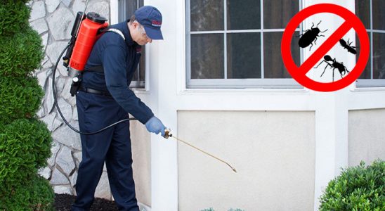 Çatak Dezenfeksiyon böcek ilaçlama ve haşere kontrolü — ilaclama-tr.com